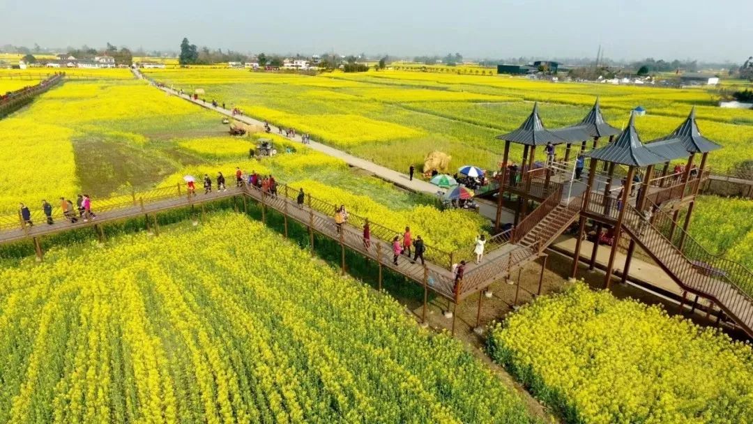 29快9敞泡广汉水磨温泉 赏西高油菜花