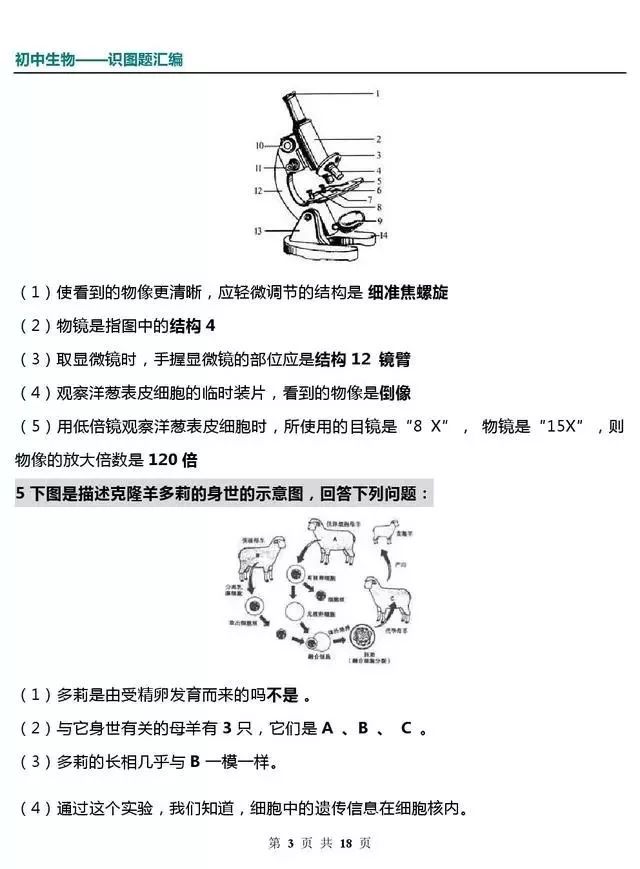 初中生物识图题大全!