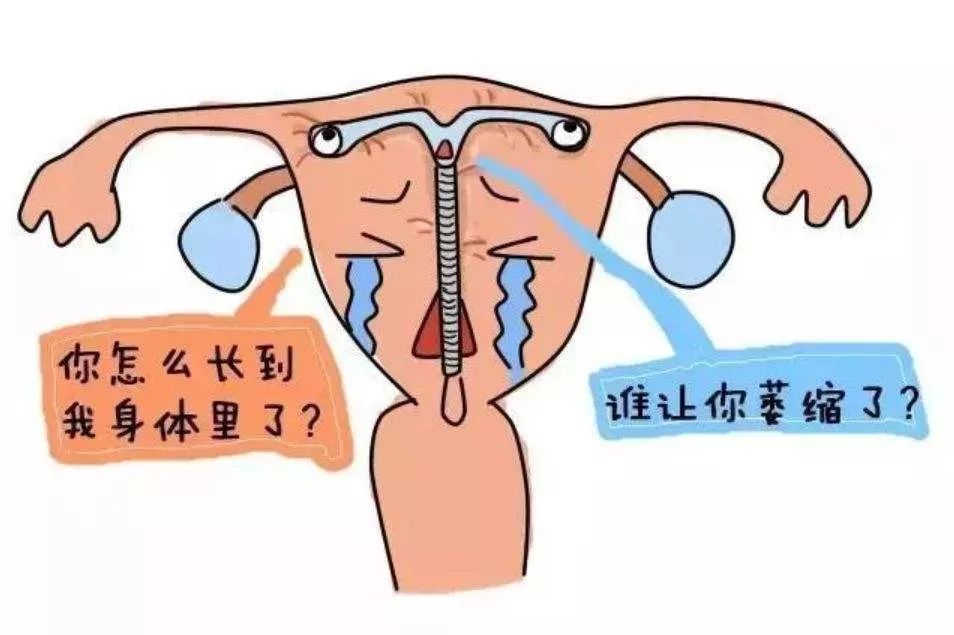 子宫萎缩会导致环的嵌顿,也就是我们常说的环长肉里了,会增加取环手术