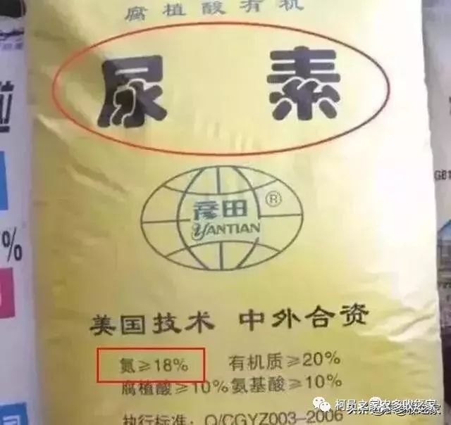 看看你买了没?_尿素