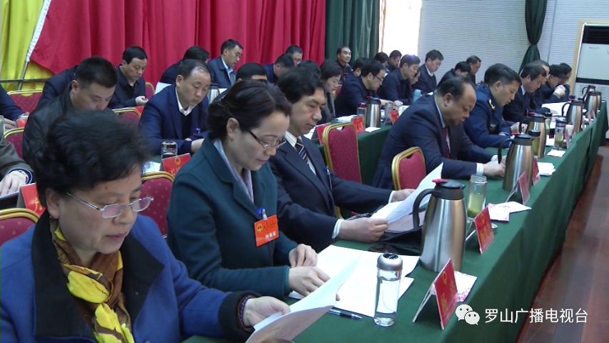 罗山新闻县十五届人大三次会议举行第二次全体会议20190315期