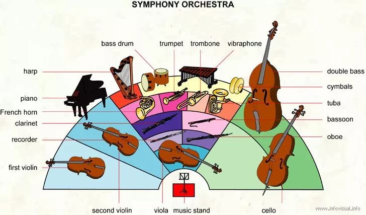 最全西方乐器鉴赏,乐理考试不用愁了(内附视频 音频)