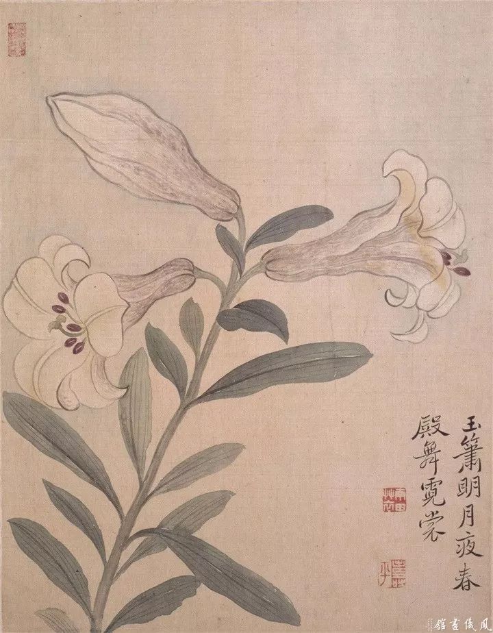 恽寿平235幅没骨花鸟画精品欣赏