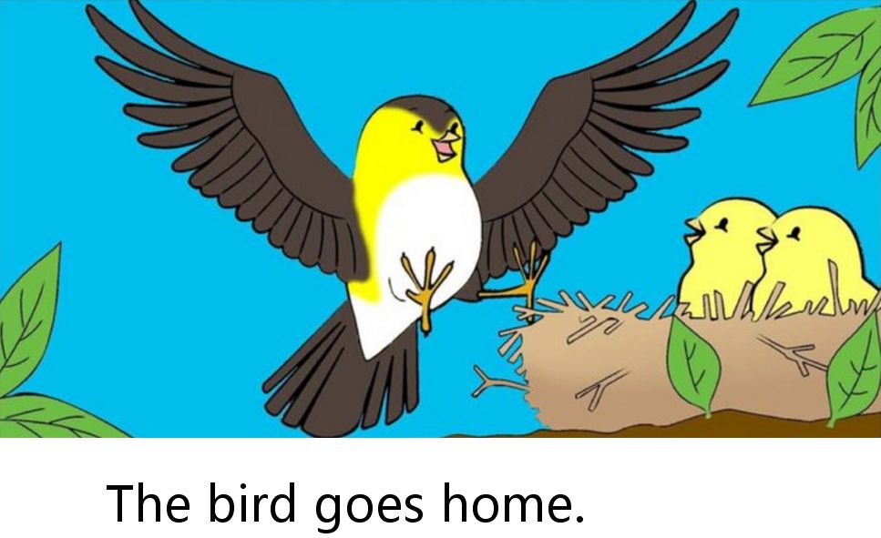 【英文有声绘本】bird goes home