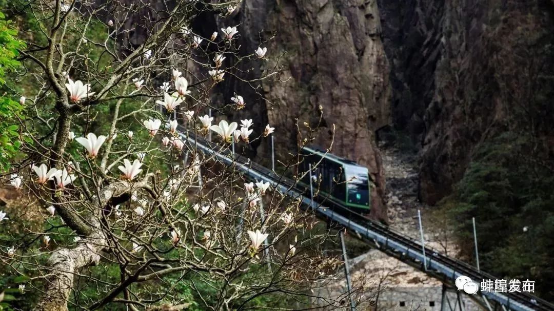 西海大峡谷观光缆车在峡谷中穿行(叶永青 摄)