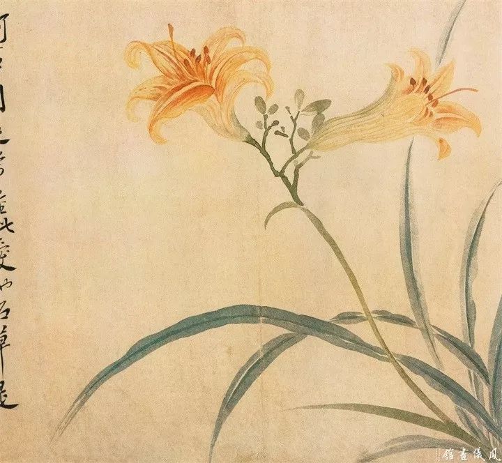 恽寿平235幅没骨花鸟画精品欣赏