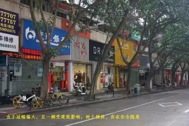 漳州市区南昌路段(含大同路,大通北路)将进行道路提升改造!