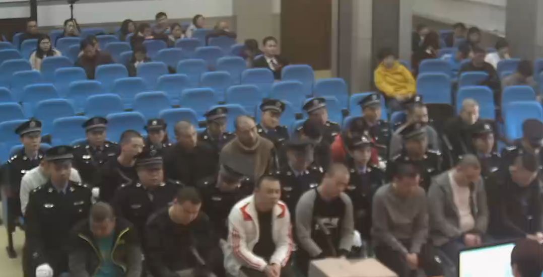 赵县公开审理一起黑社会性质案件,检察机关当庭举出多