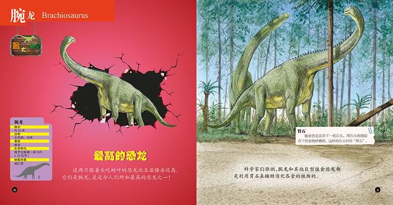 《侏罗纪公园》科学顾问唐·莱森力作,赠恐龙进化史长卷和恐龙卡牌