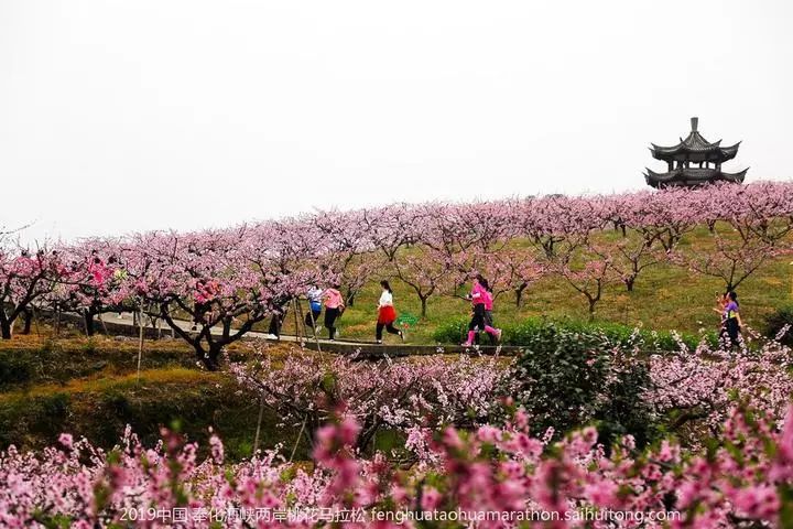 奉化桃花马拉松