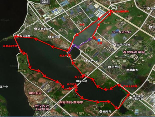 此次行走路线围绕藏龙岛湿地公园,汤逊湖,杨桥湖环湖路,全程约13公里.