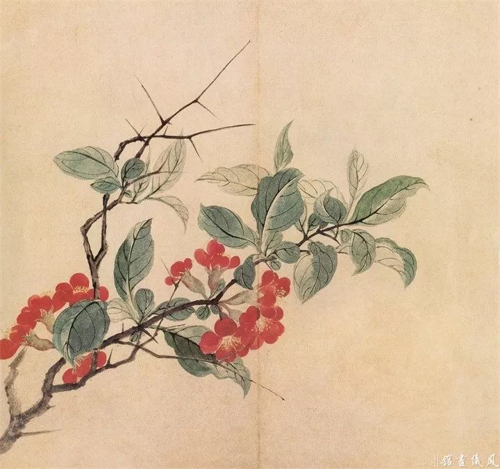 恽寿平235幅没骨花鸟画精品欣赏