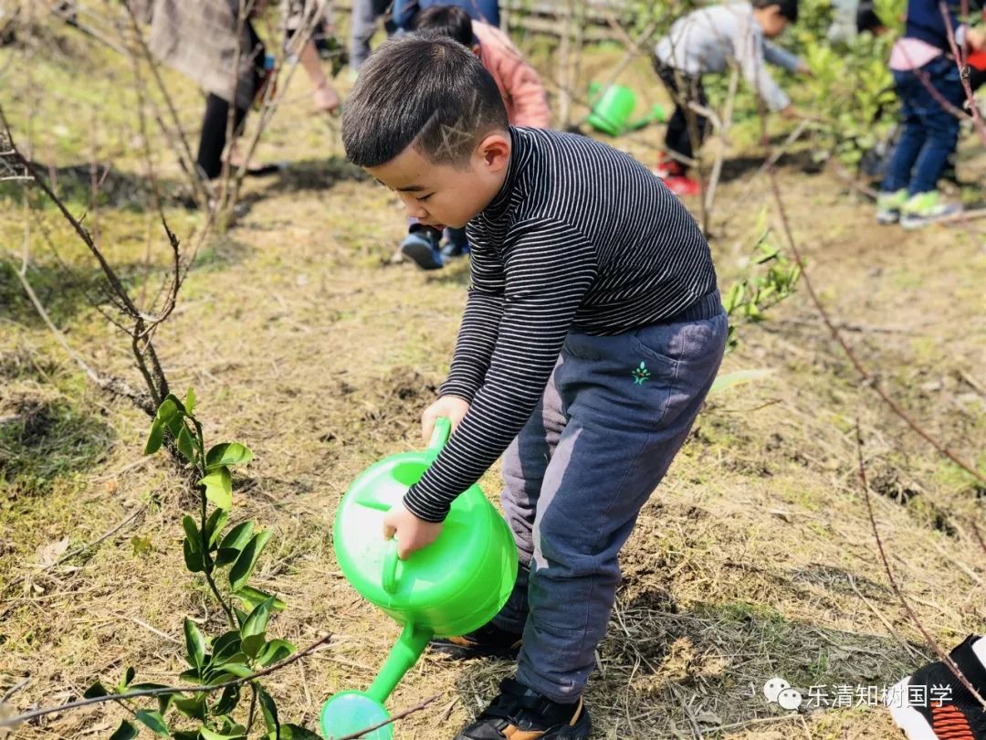 拥抱自然快乐成长记知树国学幼儿园植树节户外远足活动