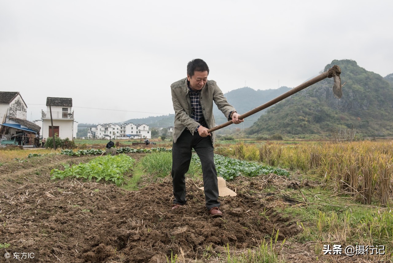 他是位农民,在农村不种地靠卖画为生,年创作百幅,一幅卖一万多