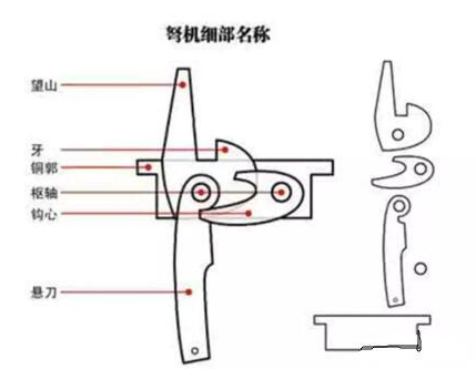应该是来自于中国的"弩",在弩的上面装载了名为"望山"的瞄准器,也是