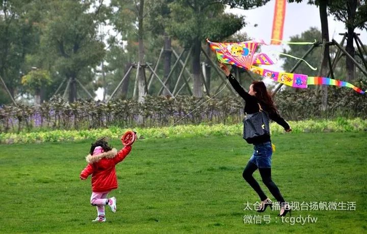 967生活太仓踏春地图出炉放风筝野餐骑车春天就该这么耍