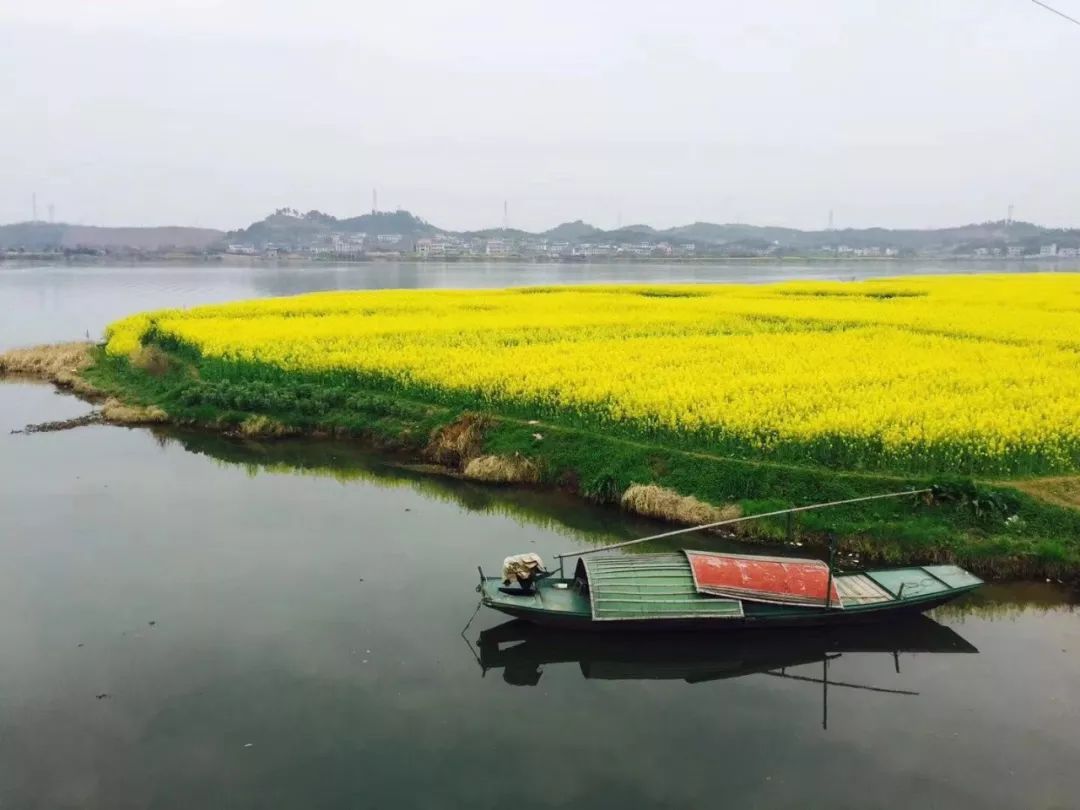 16】衡阳萱洲古镇休闲赏花摄影一日游,一清带队(车费,保险,中餐168)