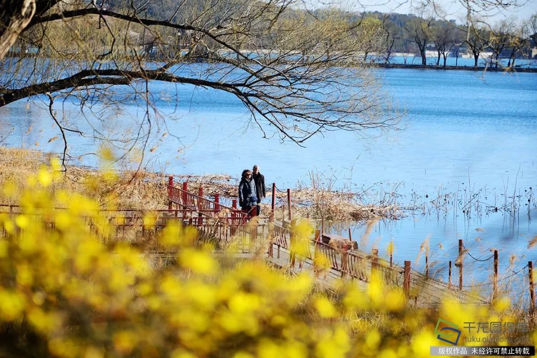 春天来了,北京八大赏春地,没去过的这周末补上