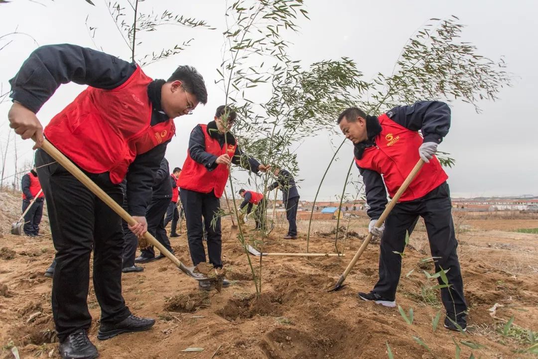 绿水青山,我来守护——公交志愿者义务植树正当时