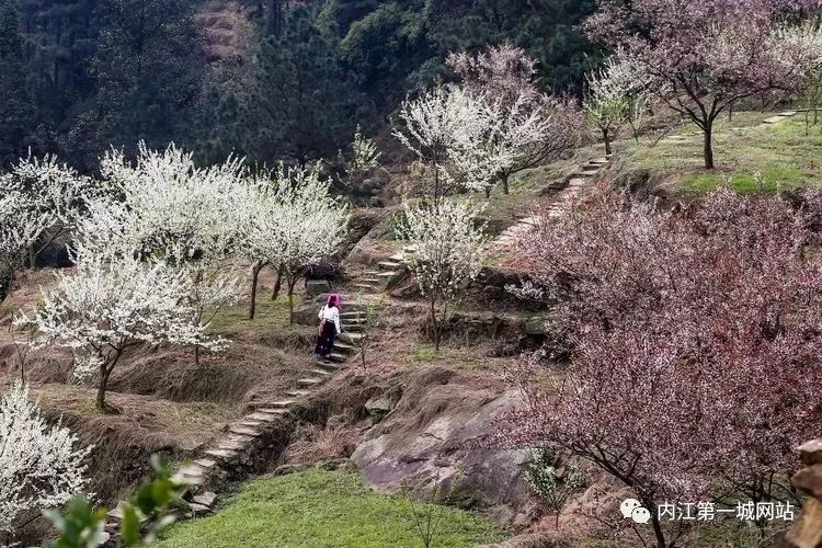 内江有少人口_内江有哪些出租车公司(2)