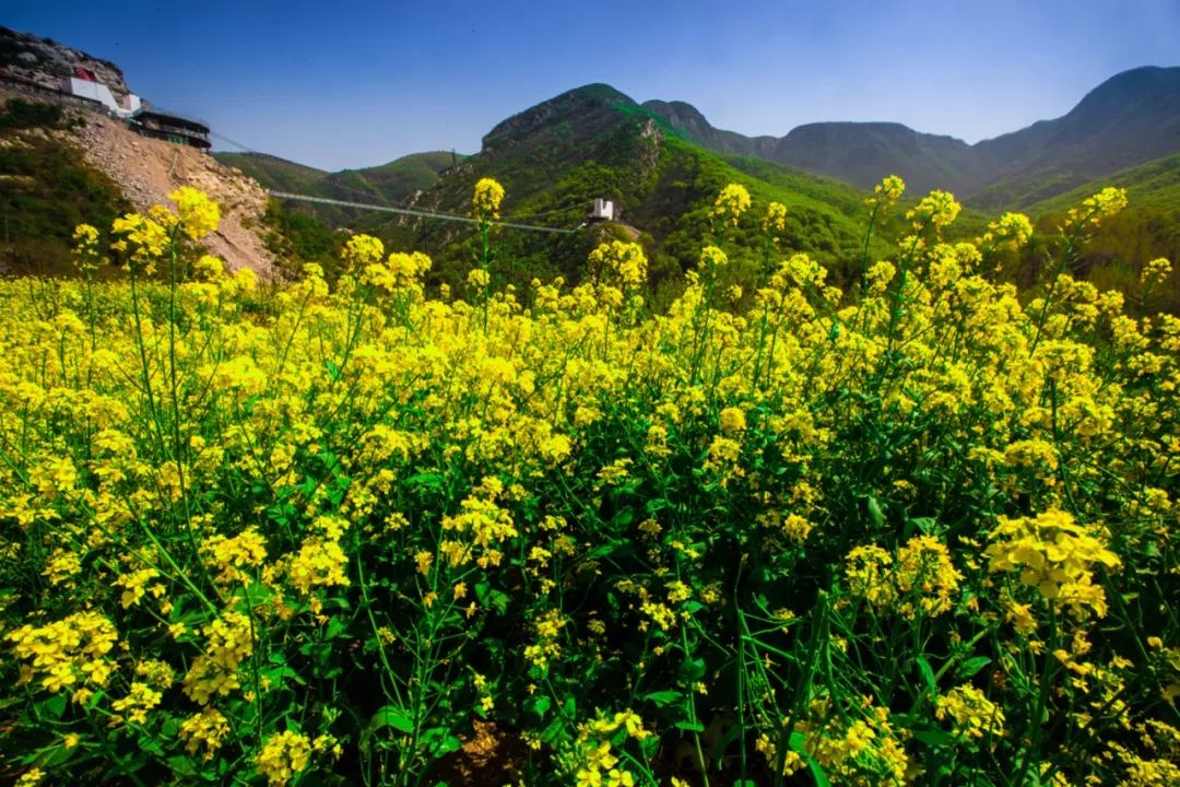 诗情画意大熊山，踏春寻芳仙人谷，第二届熊山踏青季全面启动 