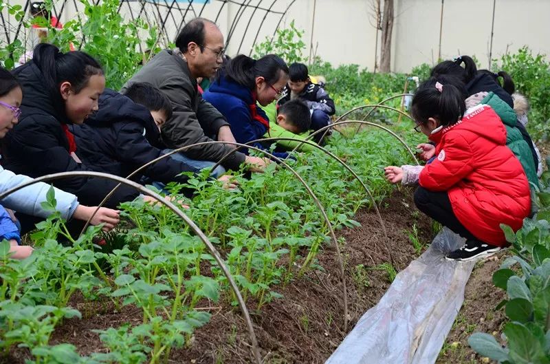 鄞州每年投500万呵护学生视力和心理健康;北仑20余所学校开出校园农场