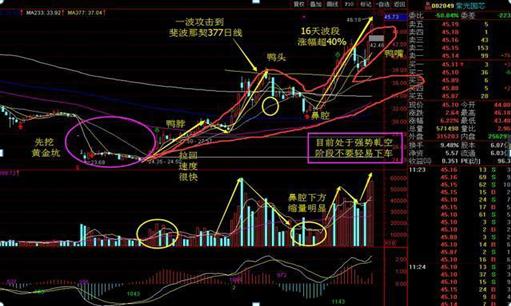 終於有人把「老鴨頭」的買入點說清楚了，股民：原來以前是買在鴨尾巴上了！ 財經 第3張