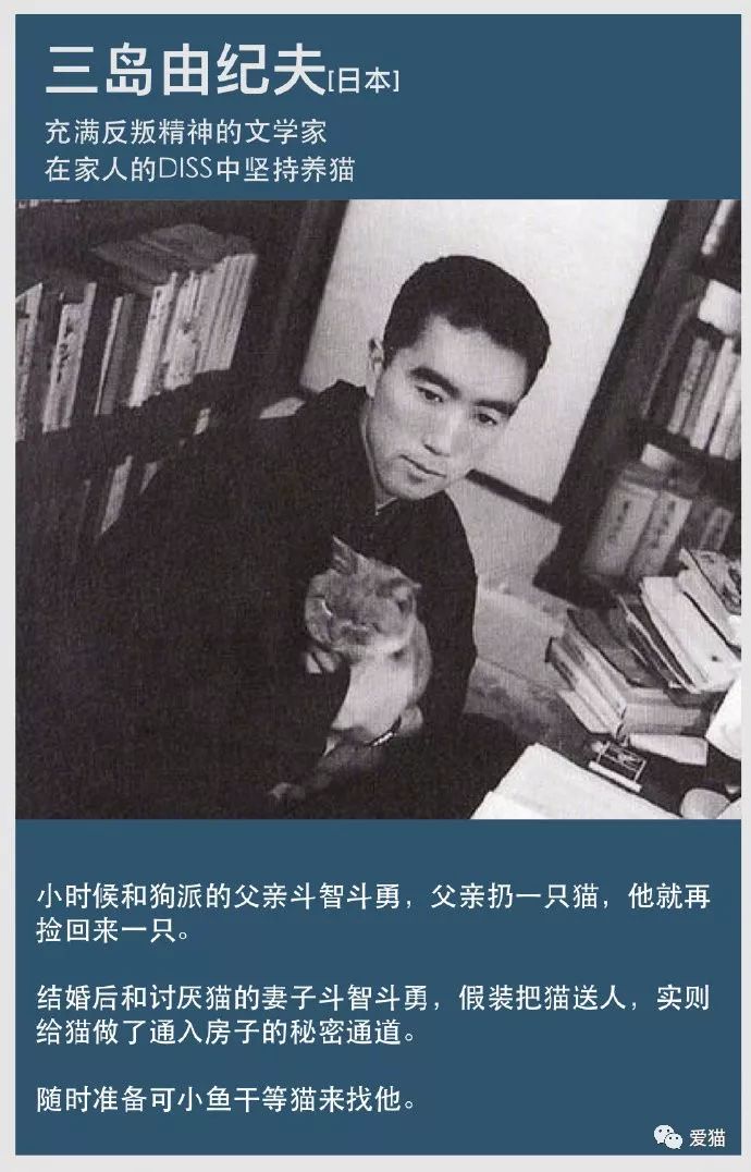 自古文人多猫奴 古今中外有哪些爱猫如命的大作家 微博