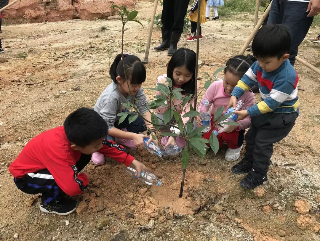 这个春天,他们和树苗一起茁壮成长~_小朋友