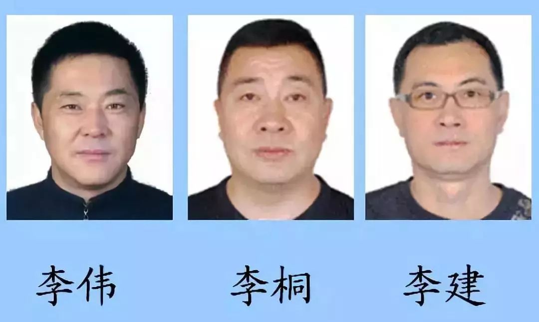 岁),李桐(男,49岁),李建(男,55岁),骨干分子李显峰(男,35岁),吴群(男