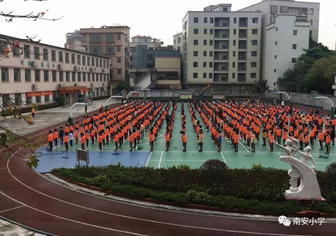 新塘镇南安小学|做学习主人 强自身素质