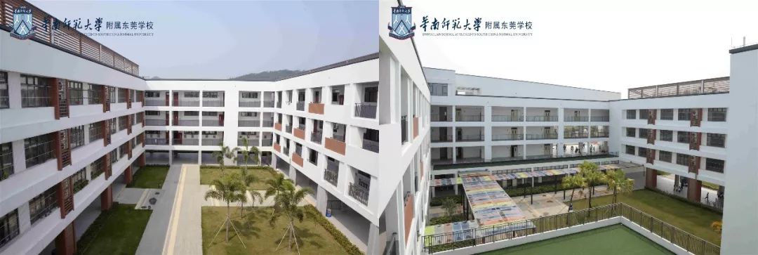 东莞华附首招初一生和小学双语班!家长快看看怎么报名