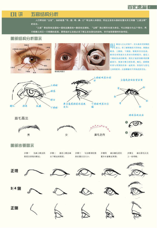 速写五官很难画一一给你详细解析