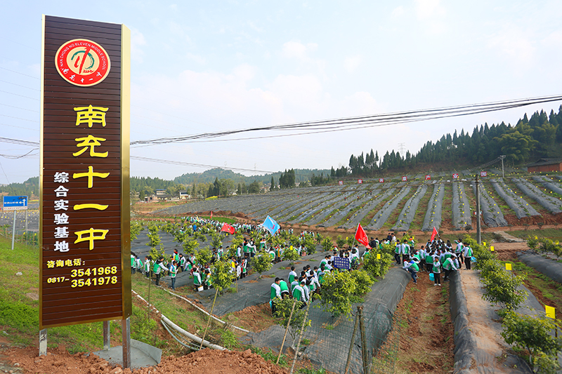 南充十一中初一学生奔赴江陵镇实践基地开展社会实践活动