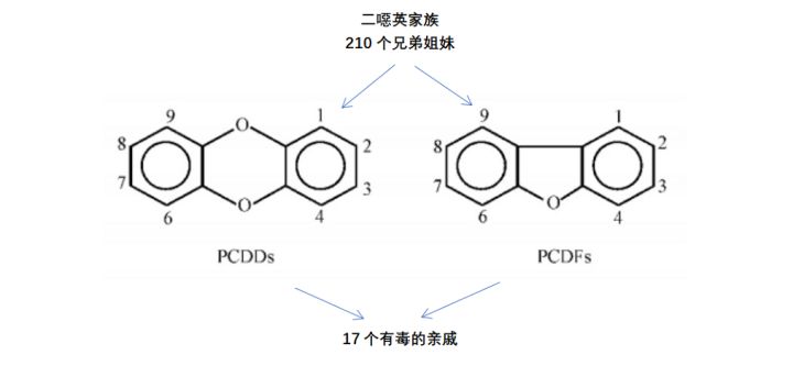 垃圾焚烧必定产生大量二恶英焚烧厂这锅我不背