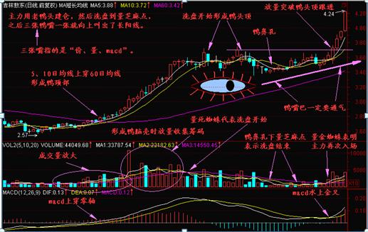 終於有人把「老鴨頭」的買入點說清楚了，股民：原來以前是買在鴨尾巴上了！ 財經 第1張