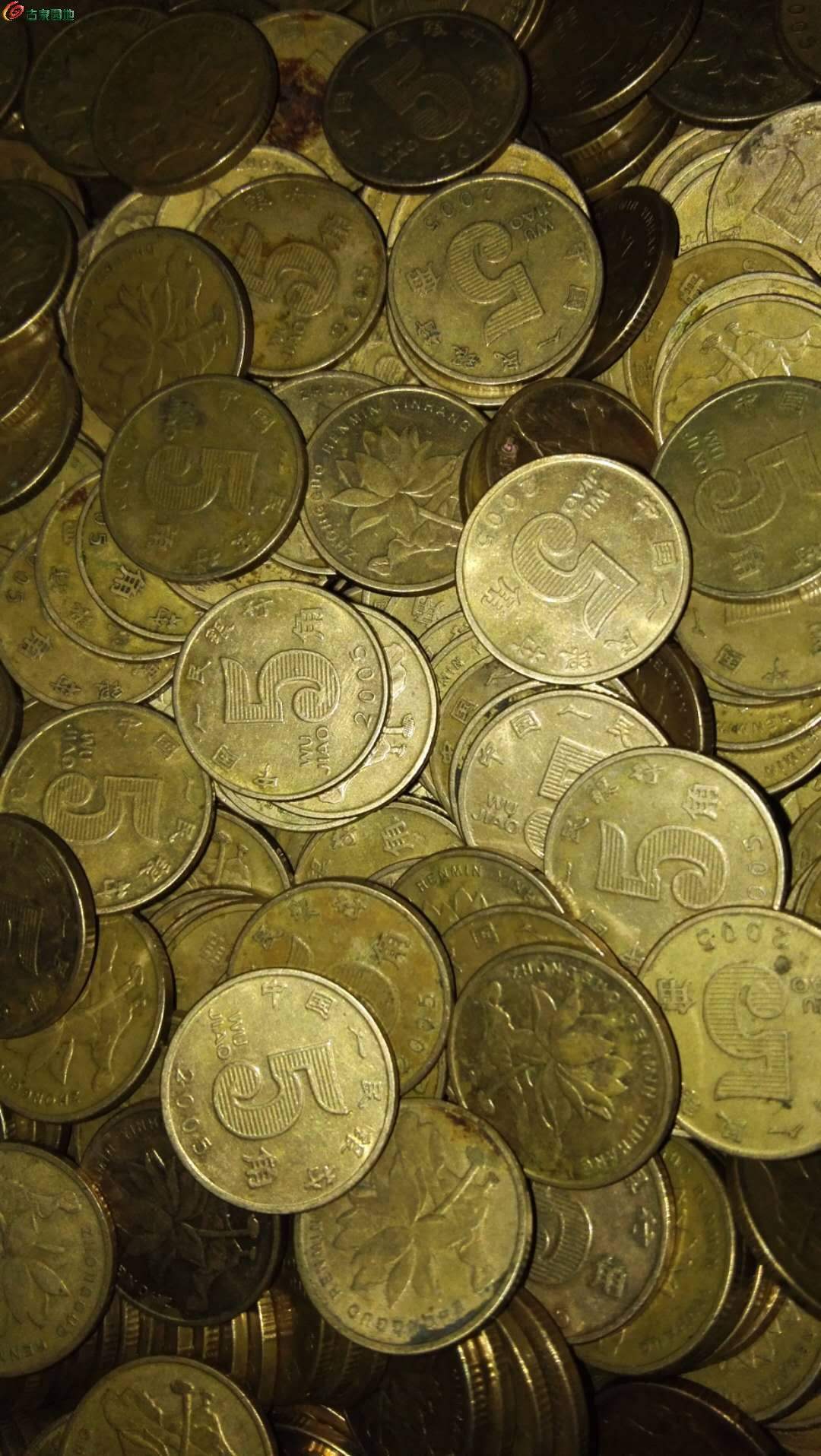 澳门硬币图片及价格表-图库-五毛网