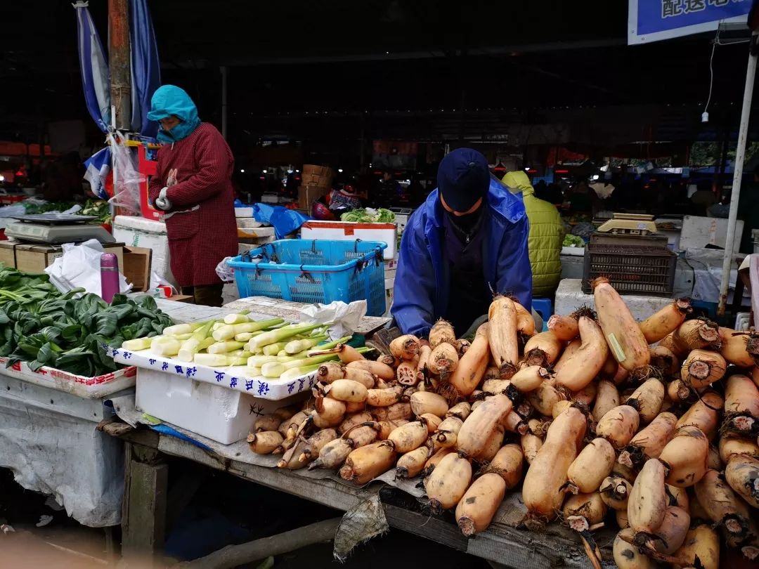 在宁波的菜市场触摸这座城市的温度