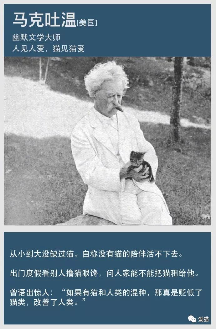 自古文人多猫奴 古今中外有哪些爱猫如命的大作家 微博