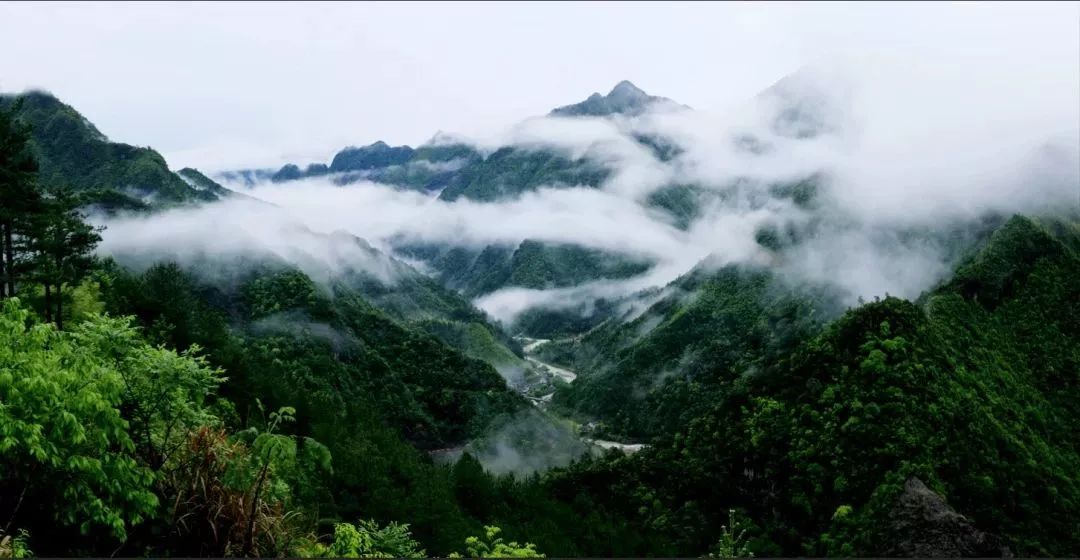 遂昌人口有多少_丽水遂昌有浑水粑吗