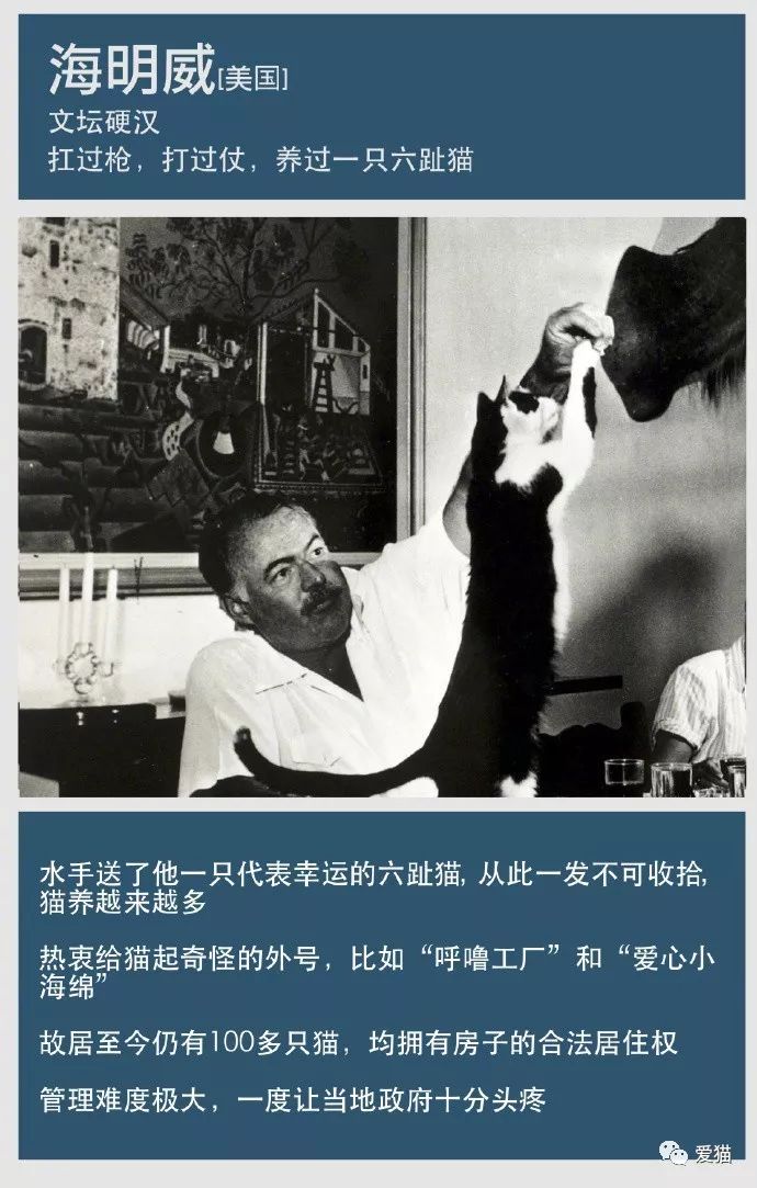 自古文人多猫奴 古今中外有哪些爱猫如命的大作家 微博