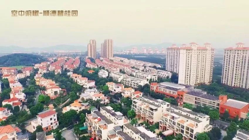 碧桂园·君临壹品【走半岛体育进世界500强 探索碧桂园】(图3)