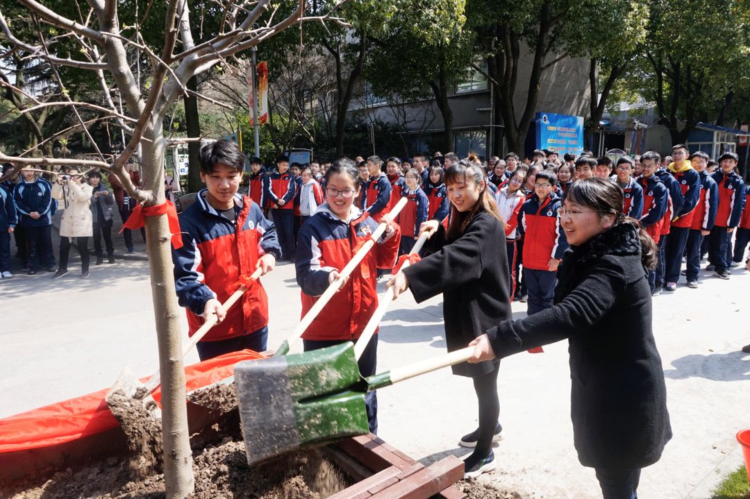 "陶园"春 绿意浓 上海市行知实验中学举行毕业班为母校赠绿仪式