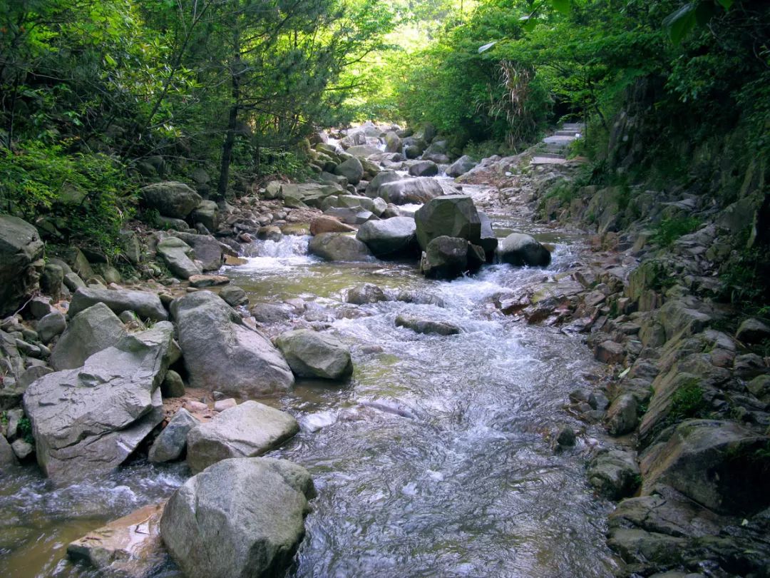 黄柏村人口_舒城黄柏村(2)