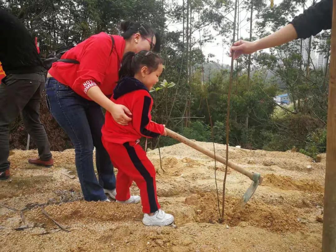 这个春天,他们和树苗一起茁壮成长~_小朋友