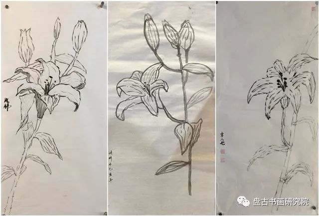 晓照教国画·彩墨小品·写生花卉~百合花