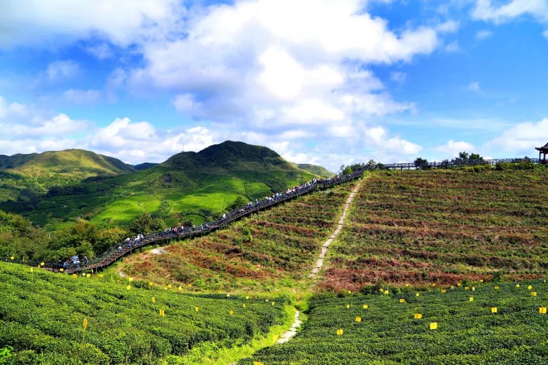 都匀螺丝壳风景.黔南日报记者徐朦 摄