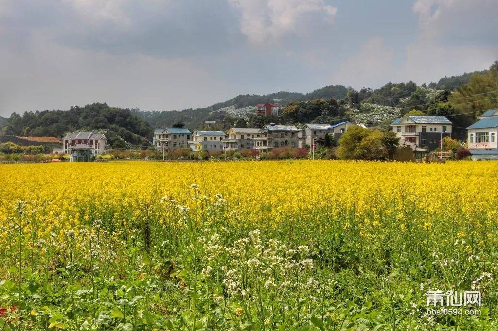 莆田坪人口_莆田坪盘旅游景区(2)