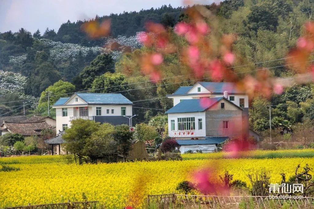 莆田坪人口_莆田坪盘旅游景区