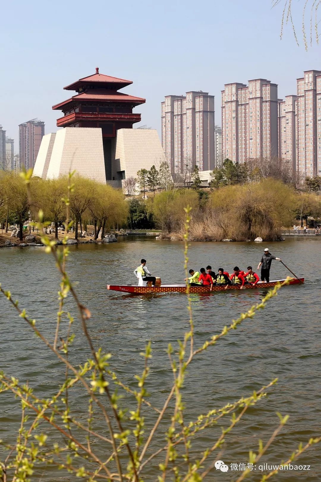 气温上升,万物复苏 枣庄市东湖公园柳枝吐出新芽 透出春天的气息